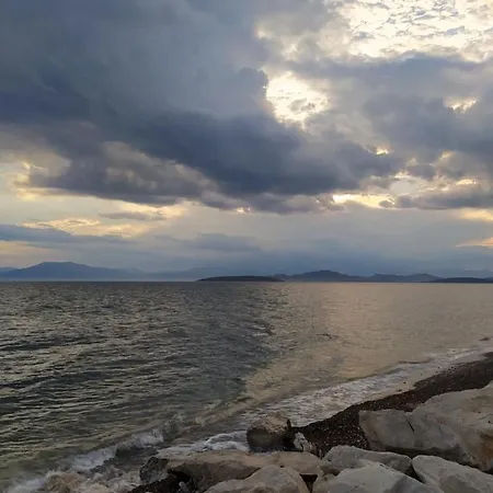 On The Wave * Paralia Irion